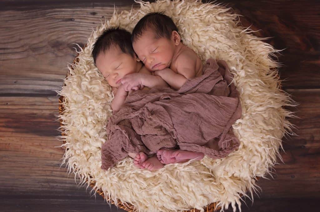 Dream about Having Twins