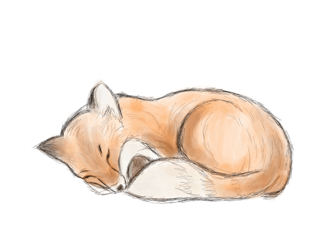 Dream About Fox In The House